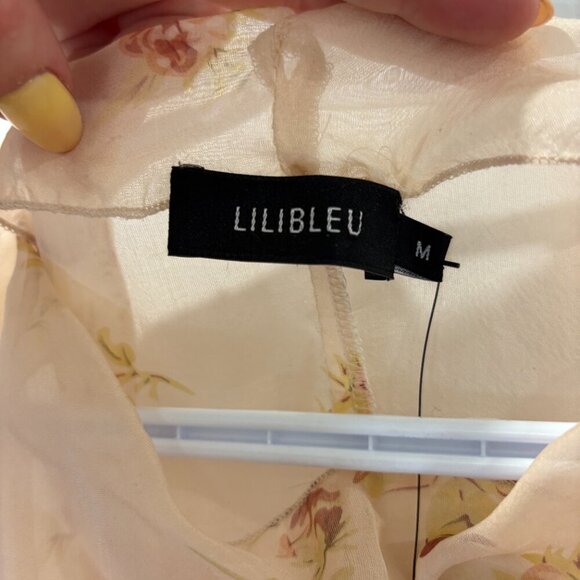 Lilibleu 100% Silk Sheer Blouse - Picture 7 of 9